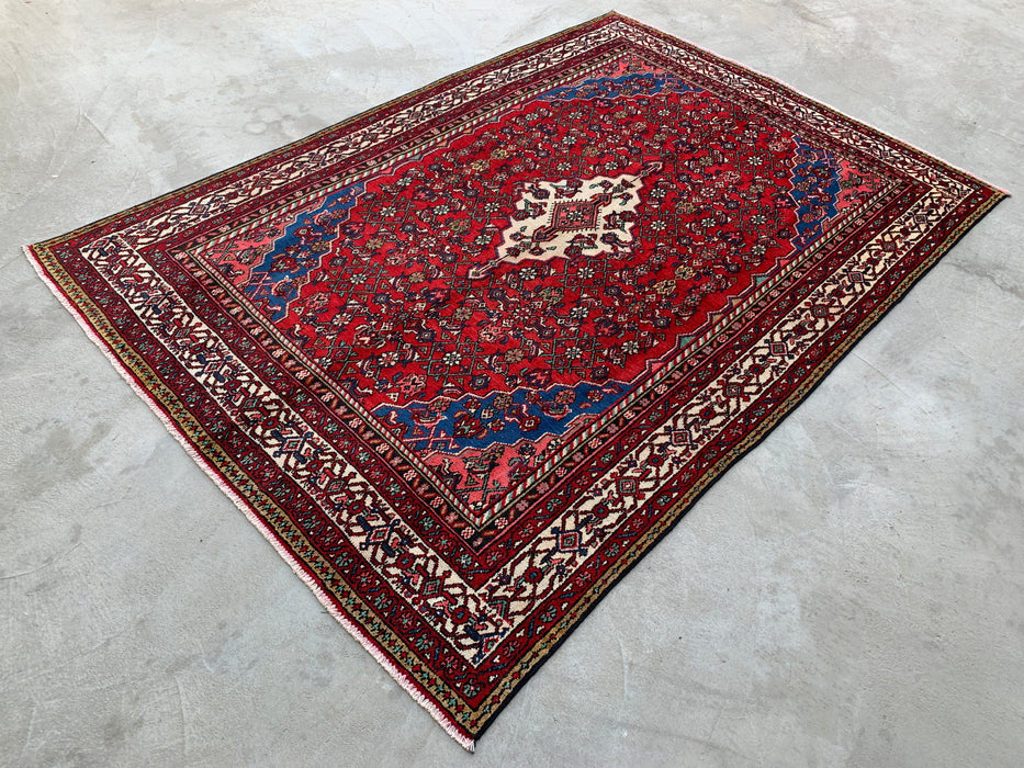 Handmade Persian Wool Area Rug 7x10 - Red, Blue & Ivory Traditional Medallion Persian Style Rug - Exact Size 10'0" x 6'11" - KBHM-1093