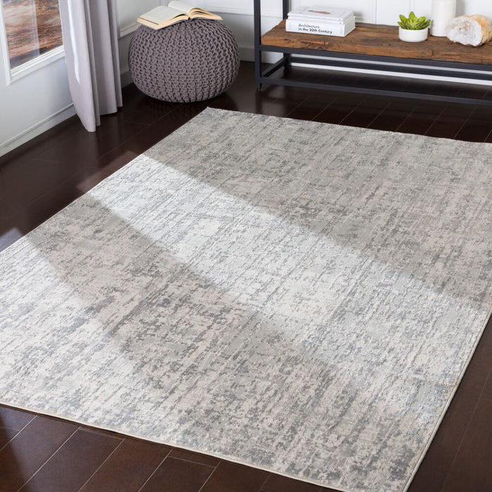 Aisha Machine Woven Rug — Light Gray / Off-White | AIS-2305
