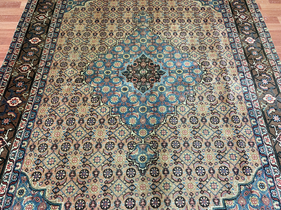 7'x10' Hand-Knotted Persian Beige/Multi Area Rug – KB Rugs 