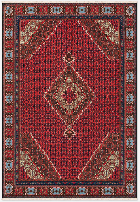 Handmade Persian Wool Area Rug 7x10 - Red, Brown & Ivory Vintage Medallion Persian Style Rug - Exact Size 9'2" x 6'0" - KBHM-735