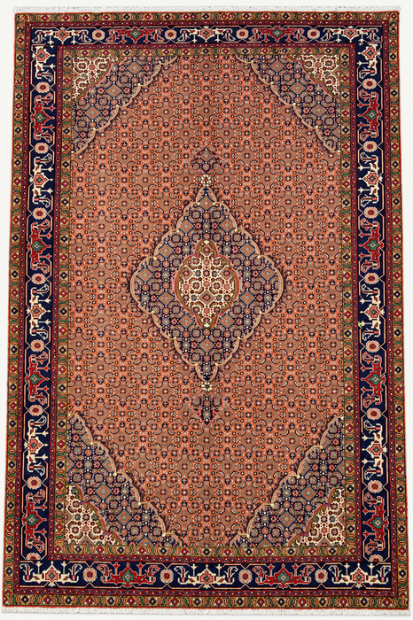 Handmade Persian Wool Area Rug 7x10 - Rose, Navy & Ivory Vintage Medallion Persian Style Rug - Exact Size 9'9" x 6'6" - KBHM-713