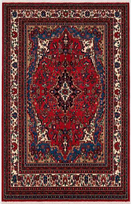 Handmade Persian Wool Area Rug 7x10 - Red Floral Medallion Persian Style Rug - Exact Size 10'4" x 7'2" - KBHM-688