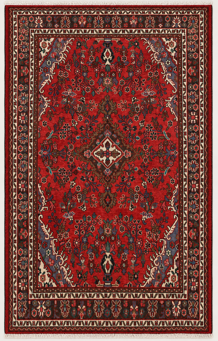 Handmade Persian Wool Area Rug 7x10 - Red Floral Medallion Persian Style Rug - Exact Size 9'8" x 6'11" - KBHM-939