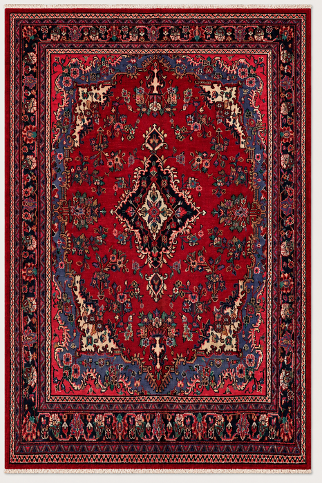 Handmade Persian Wool Area Rug 7x10 - Red Floral Medallion Persian Style Rug with Blue Border - Exact Size 10'2" x 7'0" - KBHM-844