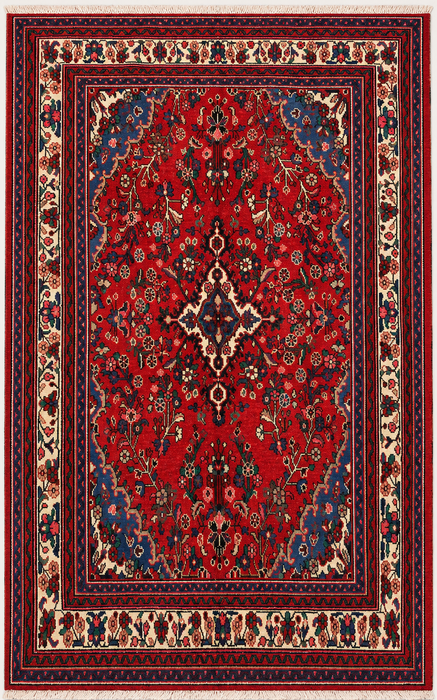 10'0 x 6'10 Hand-Knotted Persian Wool Rug - Red Floral Medallion Persian Style Rug - KBHM-1018