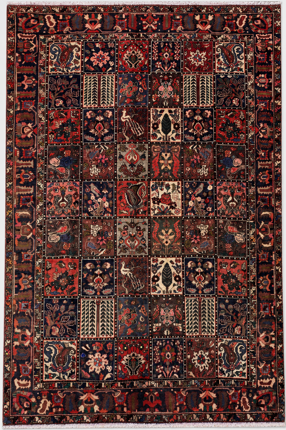 Multi Color Rugs