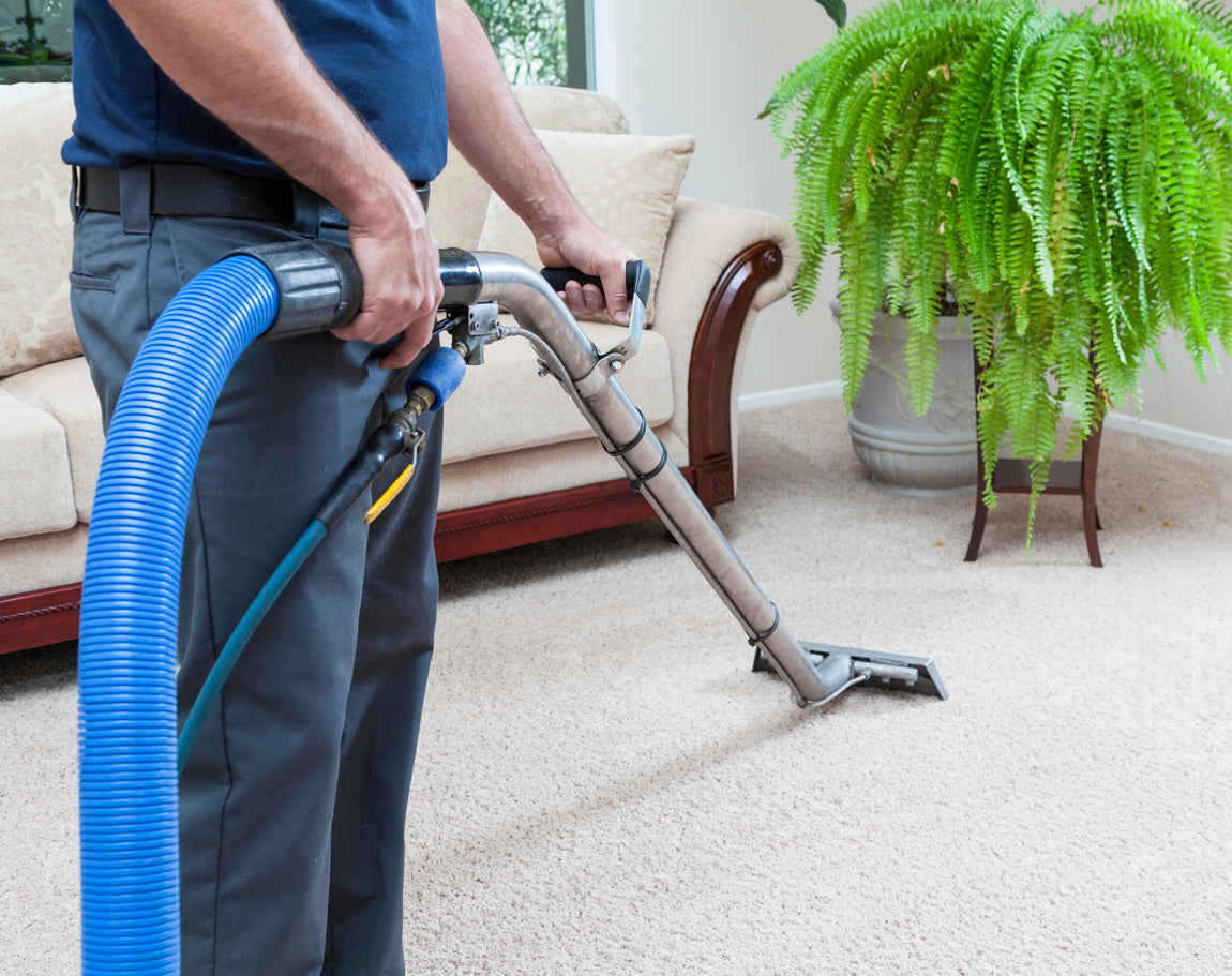Step 3: Steam Carpet Cleaning